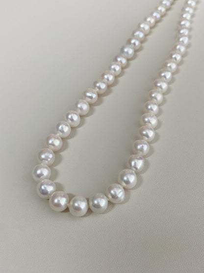 Freshwater Pearl Choker Silver Clasp